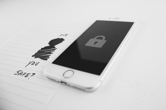 SOM-photo-smartphone copy